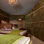 Alpenresort Walsertal Hotel Damüls