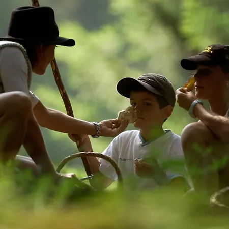 Alpenresort Walsertal Hotel 4*