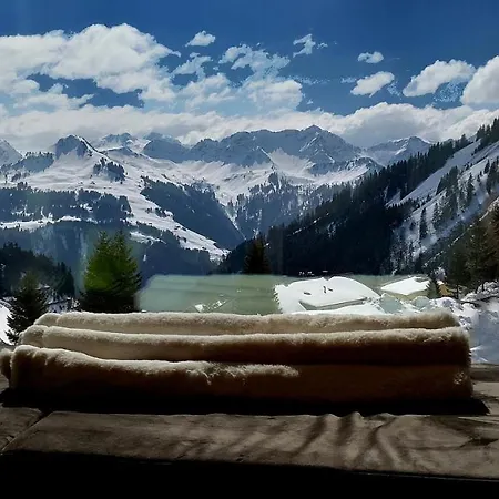 호텔 Alpenresort Walsertal 다뮐스