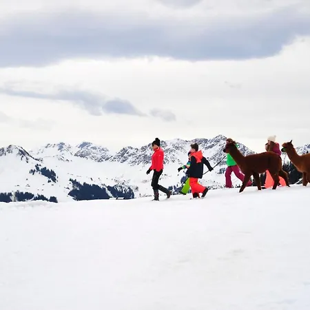 Alpenresort Walsertal Hotel
