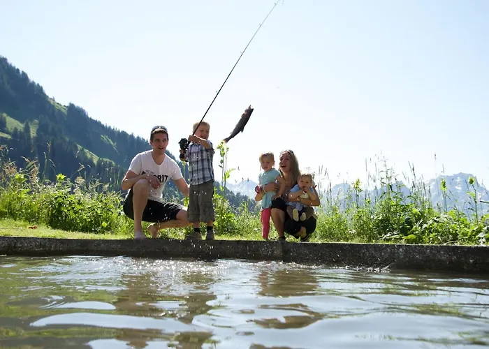 Hotel Alpenresort Walsertal Damüls
