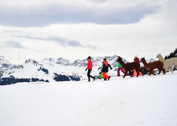 Alpenresort Walsertal Hotel